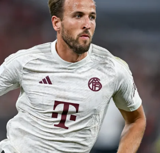 3个篮板和 3个篮板和