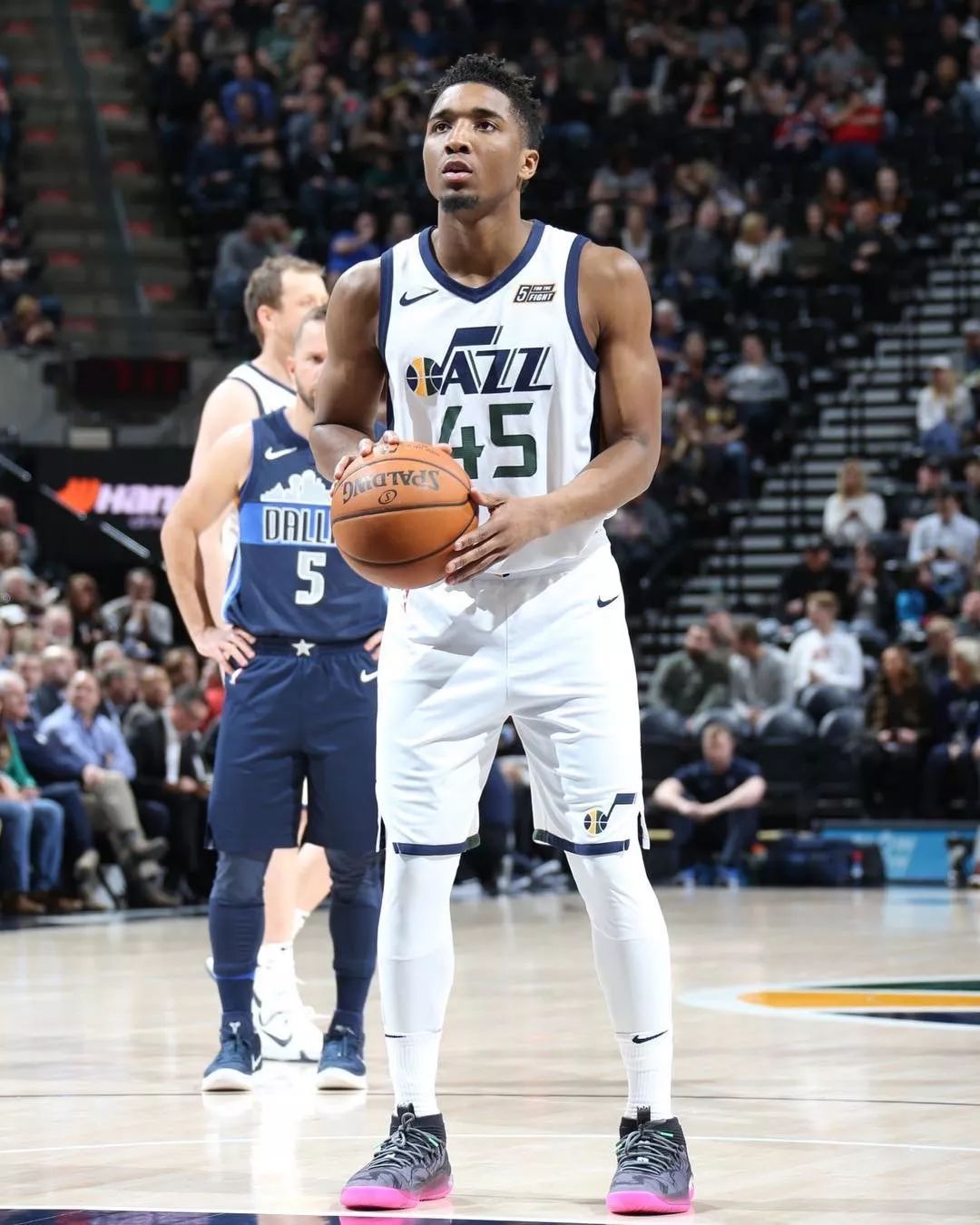 是年轻阵容 是年轻阵容